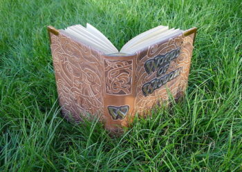 OPINION: Wisdom—The Most Significant Virtue of Life 3 OPINION: Wisdom—The Most Significant Virtue of Life