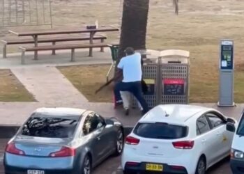 Intervene or run and hide: what should you do during public violence like the attacks at Bondi? 3 Intervene or run and hide: what should you do during public violence like the attacks at Bondi?