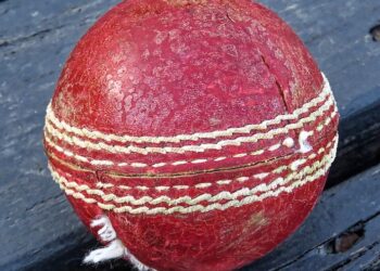 Why do cricket balls have to be so hard?