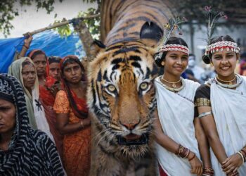 UN racial discrimination watchdog issues rare early warning to India over Assam, tiger reserves and Bastar 5 UN racial discrimination watchdog issues rare early warning to India over Assam, tiger reserves and Bastar