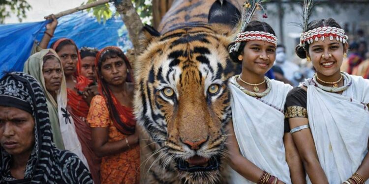 UN racial discrimination watchdog issues rare early warning to India over Assam, tiger reserves and Bastar 1 UN racial discrimination watchdog issues rare early warning to India over Assam, tiger reserves and Bastar