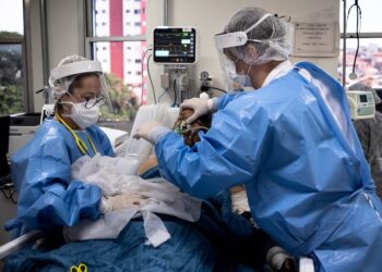 What is Nipah virus? And what makes it so deadly? 5 What is Nipah virus? And what makes it so deadly?