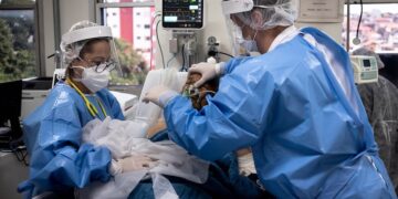 What is Nipah virus? And what makes it so deadly?