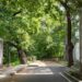 India shows how urban forests can help cool cities – as long as planners understand what nature and people need