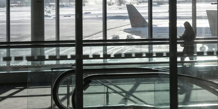 Cash cows, scapegoats — and now global talent: Asian international students want to be seen for who they are