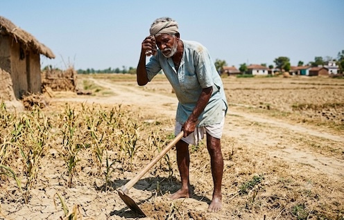 Too hot, too humid: why the sustained heatwave in India and Pakistan is so dangerous 2 Labour heatwave @PT3790