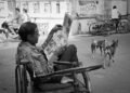 Street dogs: Why India can’t — and shouldn’t — evict its canines 11 Street dogs: Why India can’t — and shouldn’t — evict its canines