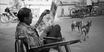 Street dogs: Why India can’t — and shouldn’t — evict its canines