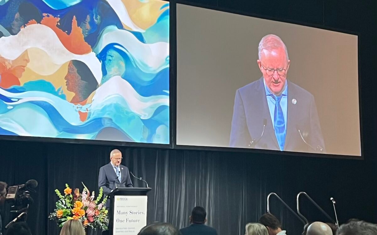Albanese urges celebration, not just tolerance, as FECCA 2026 opens at Parliament House
