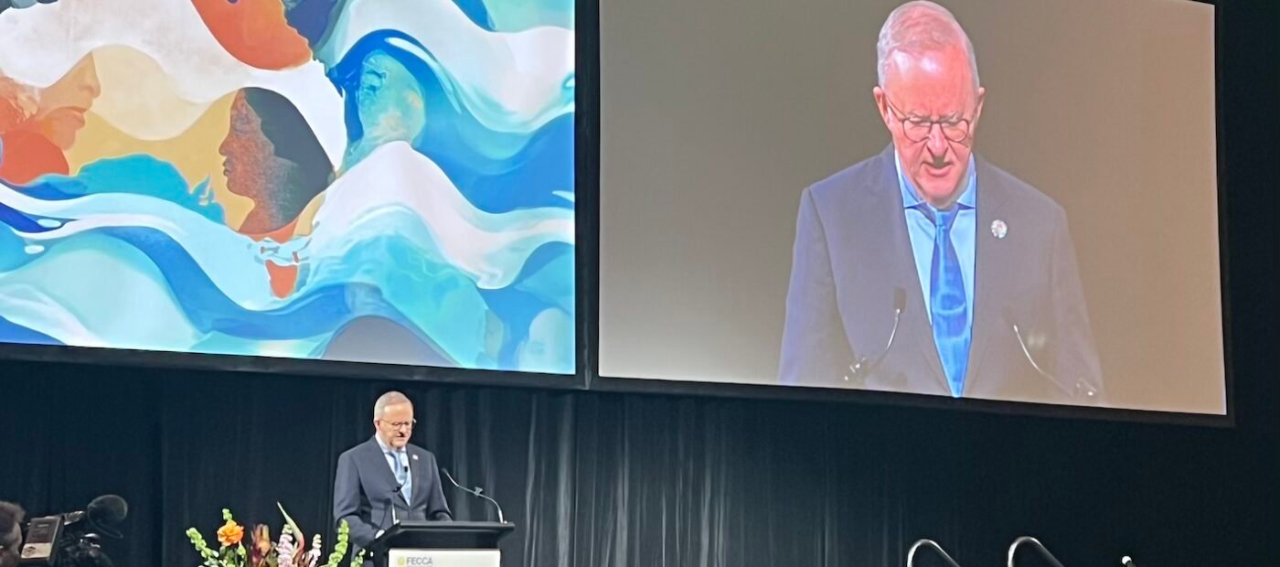 Albanese urges celebration, not just tolerance, as FECCA 2026 opens at Parliament House