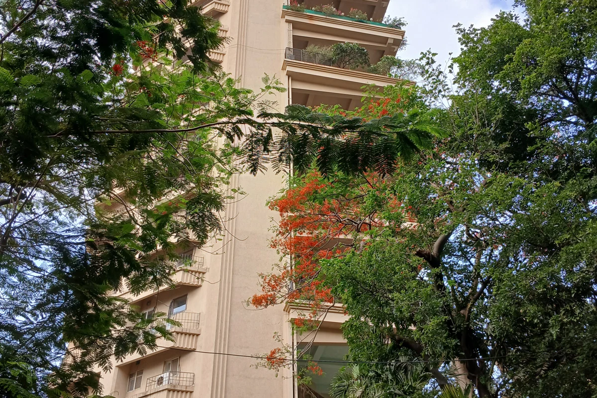 An apartment building in Malabar Hill, Mumbai, behind trees
