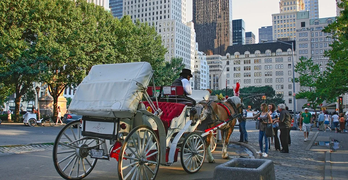 Horse-drawn carriage near Central Park, illustrating New York’s carriage ban