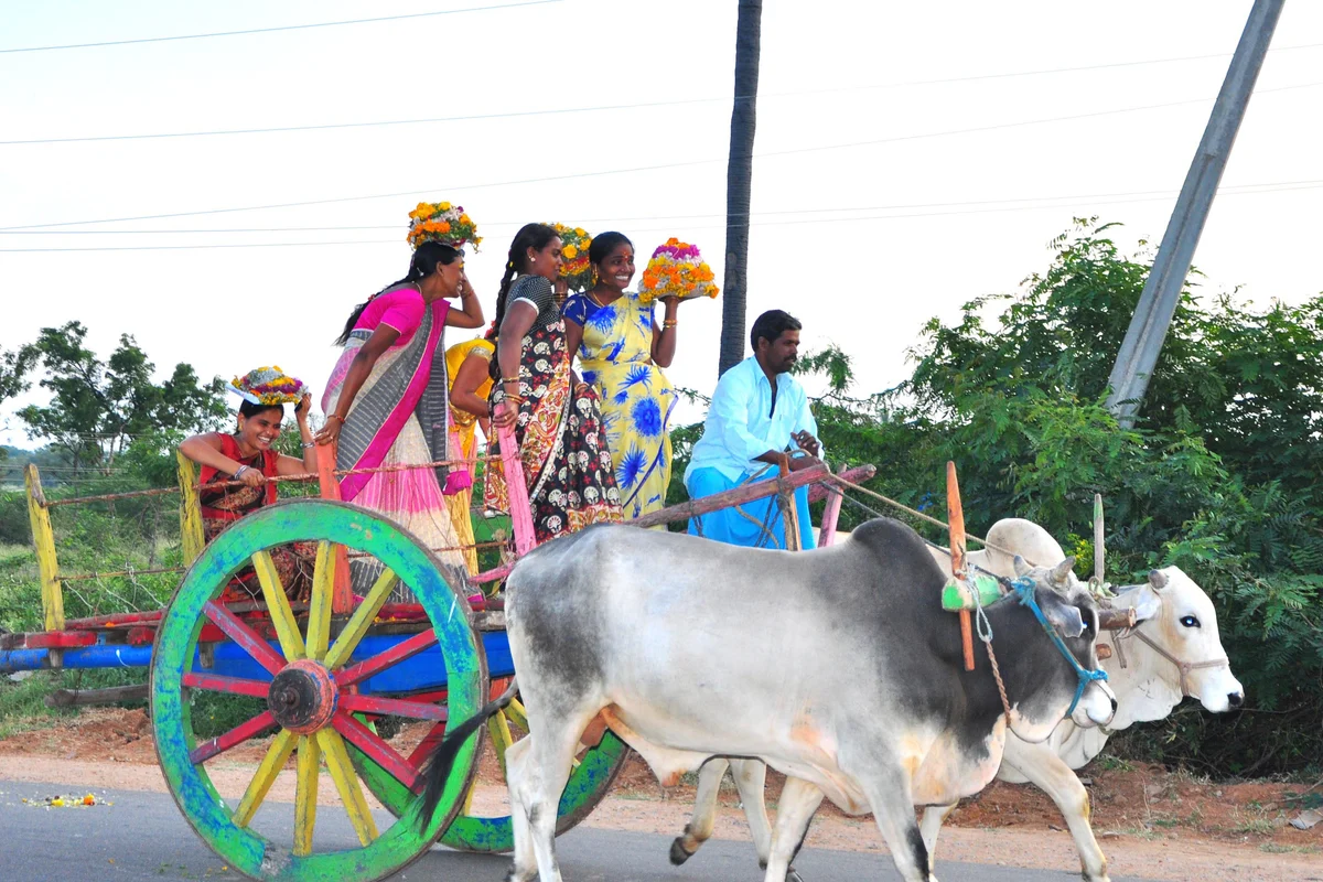 Participants carrying Bathukamma arrangements in Telangana